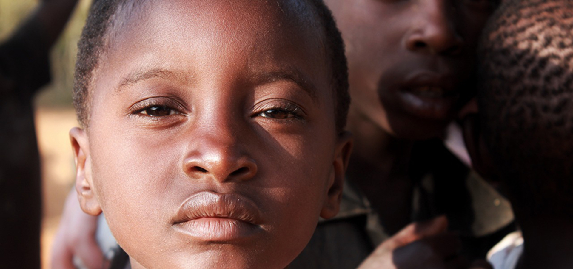 Image de la catégorie