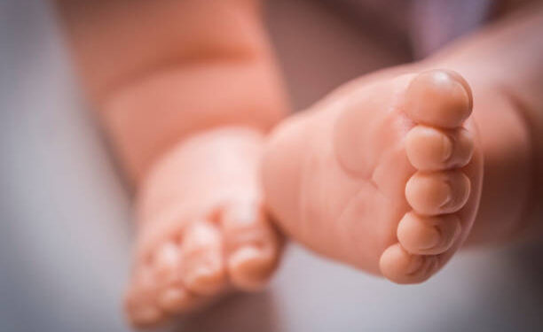 Mortalité infantile : Le diagnostic alarmant de la Banque Mondiale pour l’Afrique subsaharienne