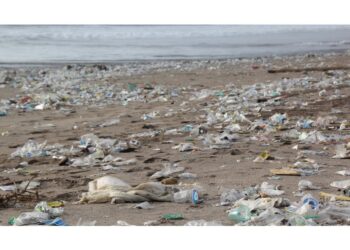 Découverte alarmante sur l&rsquo;utilisation des plastiques: Un poison invisible détruit les océans… et nos cerveaux