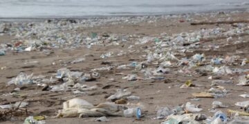 Découverte alarmante sur l&rsquo;utilisation des plastiques: Un poison invisible détruit les océans… et nos cerveaux
