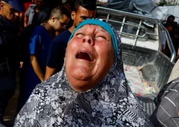 Famine, bombardements et enfants sacrifiés à Gaza : un drame humanitaire qui s’aggrave