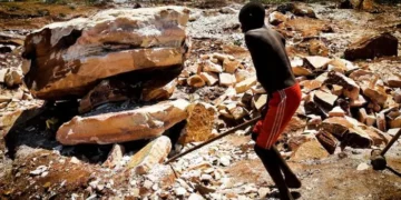 Travail des enfants : 138 millions d’enfances volées, l’OIT et l’UNICEF sonnent l’alarme